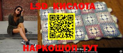 индика Заволжье