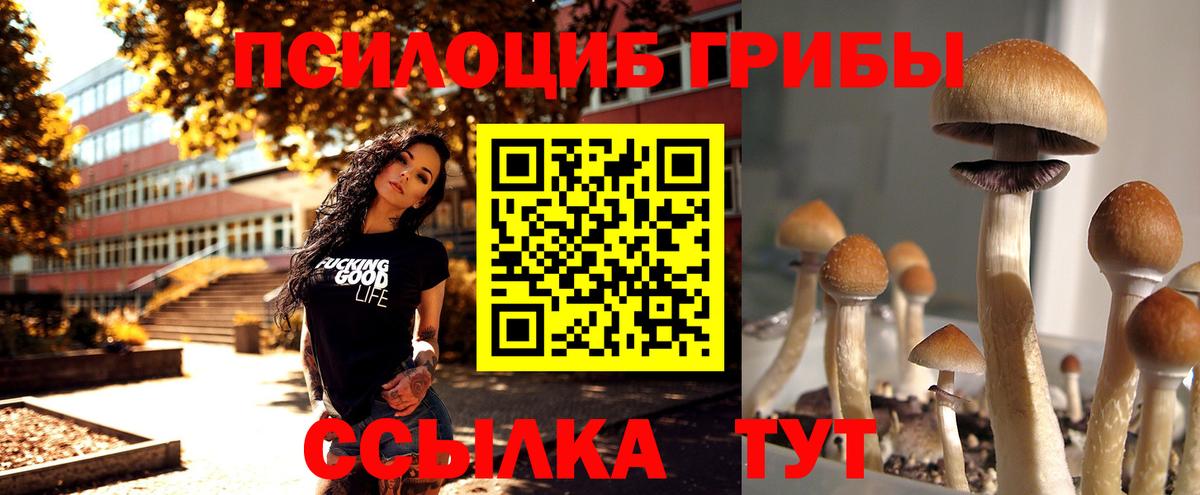 Магнитогорск  Галлюциногенные грибы GOLDEN TEACHER  цены   Псилоцибиновые грибы Magic Shrooms  Вход с VPN 